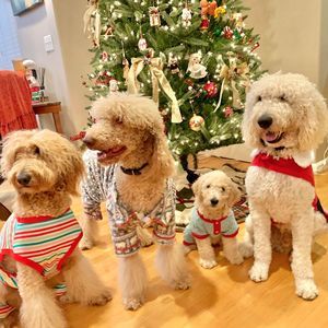 Meet your Posher, Emma